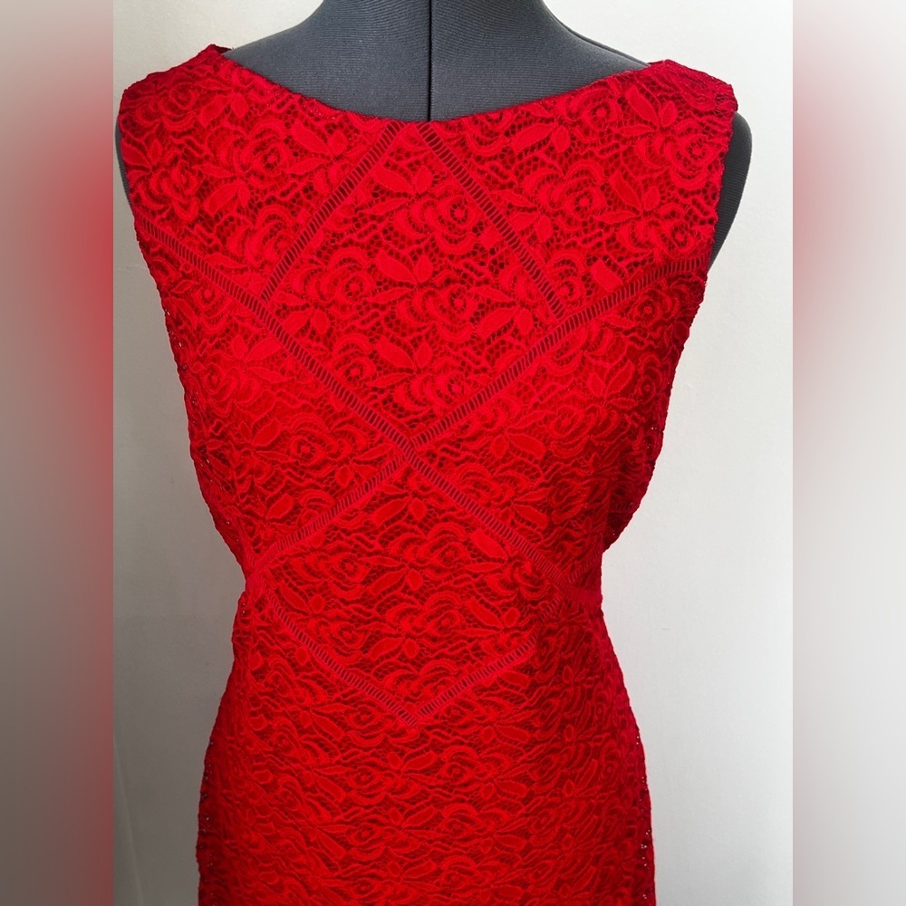 Bebe Sz XL Red Lace form-fitting Stretchy Sheath silhouette w/ diamond-cut back